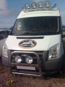 To Fit 2007 - 2014 Ford Transit MK7 Bull Bar + Spot Lamps