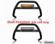 Bull Bar + 17